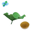 Lotus Leaf Extract Powder 1% 2% 5% 10% 50% 98% Nuciferine